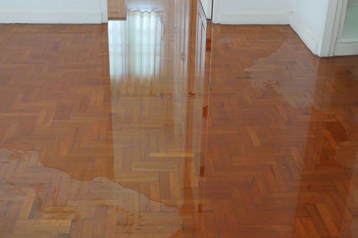 Standing water spreading across a hard floor and toward adjoining rooms after a water loss
