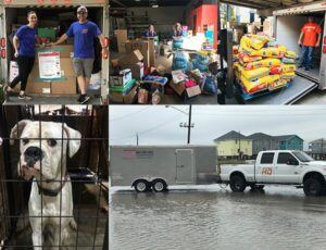 Hurricane Harvey Relief Efforts