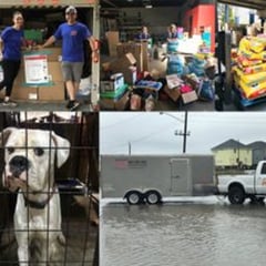 Hurricanes, Donations, and Curling