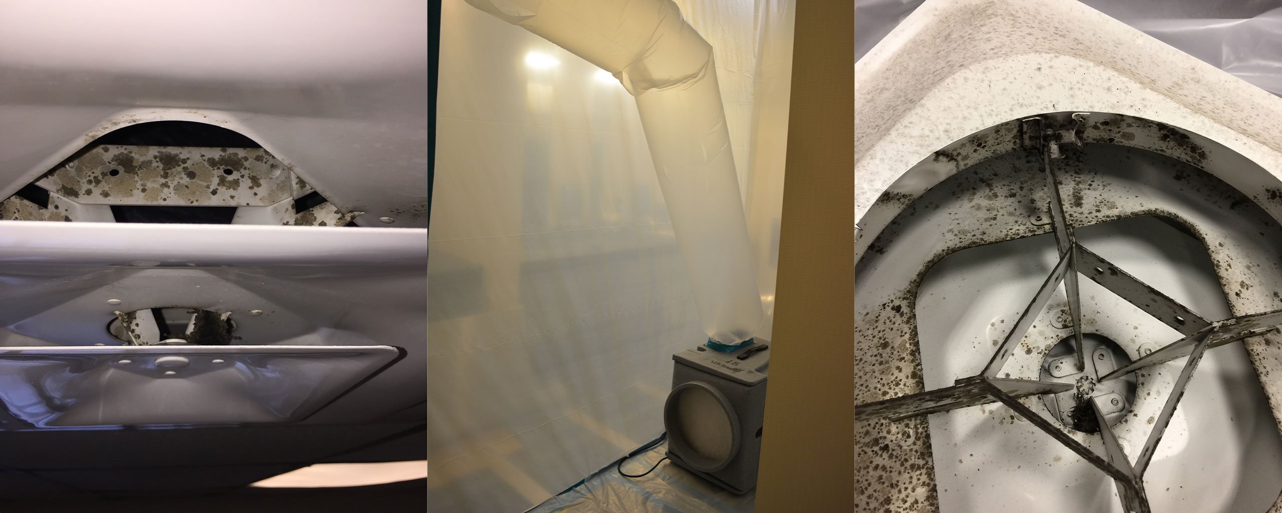 Curated visual reference: Gallery Detail: Commercial Mold Remediation Services