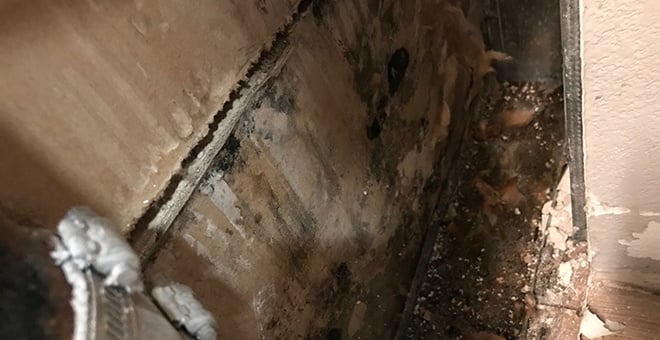 Mold