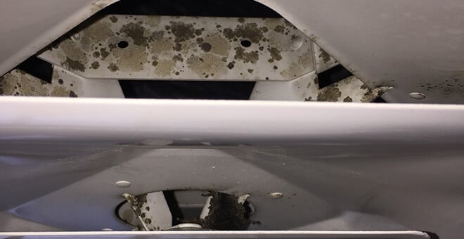 Mold