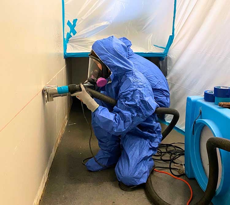 mold-removal-restorationhq-az-1
