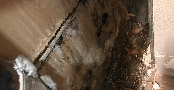 mold-8.21-image-1
