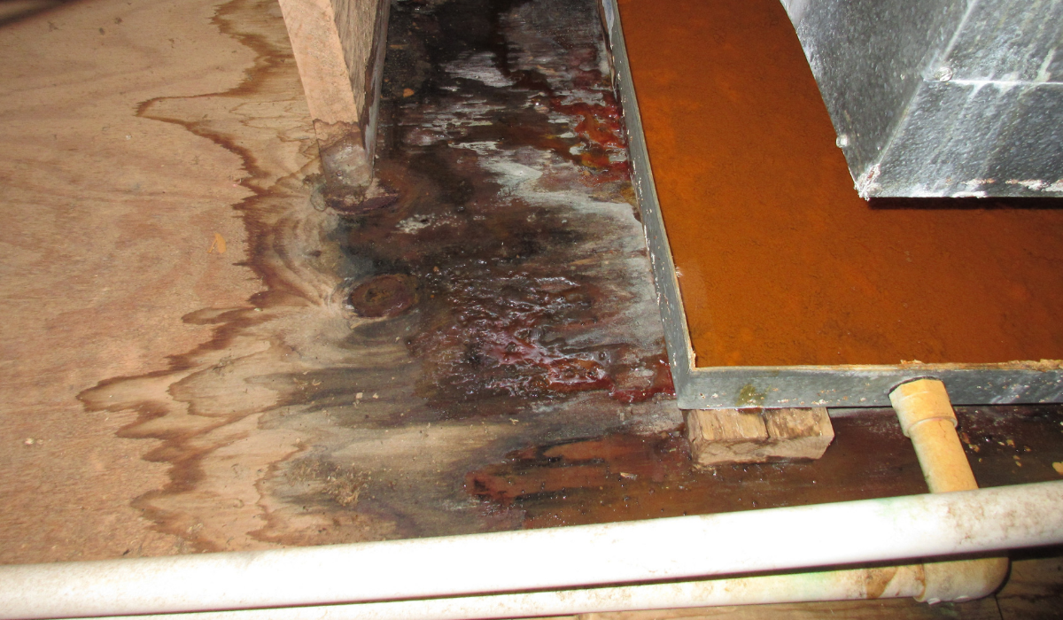 old water damage
