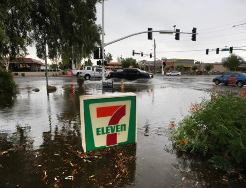 Water / Flood in Scottsdale, AZ (December 2022)